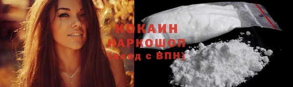 шишки Балахна