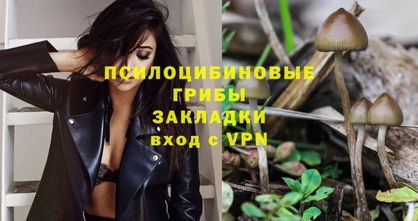 шишки Балахна