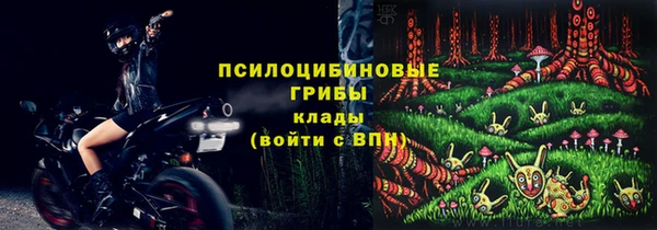 шишки Балахна