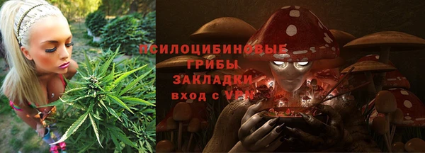 шишки Балахна