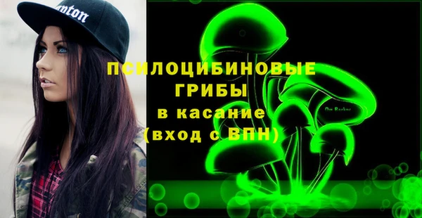шишки Балахна