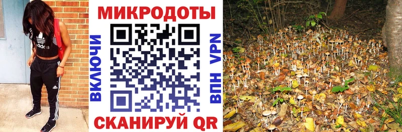 Псилоцибиновые грибы Cubensis  Трубчевск 